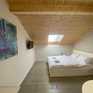 https://apart-gotel-pisla-remontu-na-vulici-lesi-ukrainki-19-12.hotelslviv.net